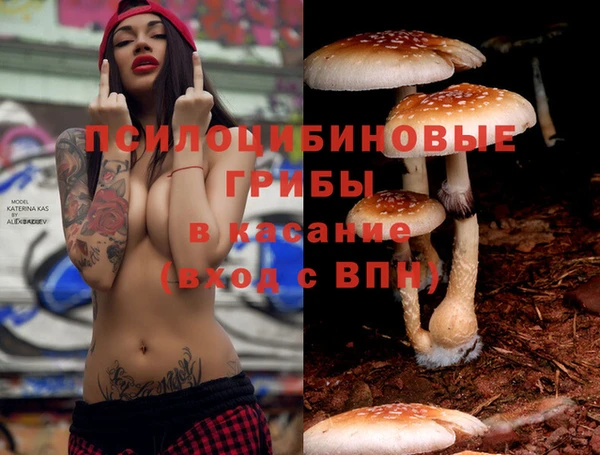 каннабис Абинск