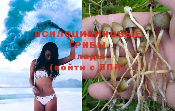 бутик Абаза