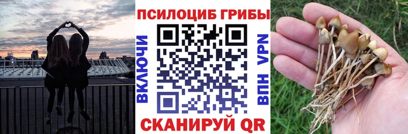 как найти закладки  Лиски  Галлюциногенные грибы ЛСД 